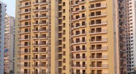 Golf Avenu(Sec 75)