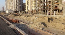 Golf Avenu(Sec 75)