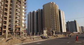 Golf Avenu(Sec 75)