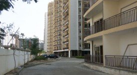 Golf Avenu(Sec 75)