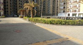 Golf Avenu(Sec 75)