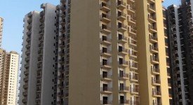 Golf Avenu(Sec 75)