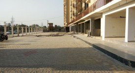 Golf Avenu(Sec 75)