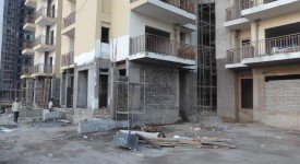 Golf Avenu(Sec 75)
