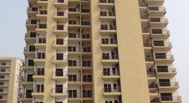 Golf Avenu(Sec 75)