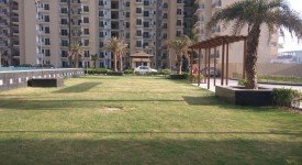 Golf Avenu(Sec 75)