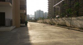 Golf Avenu(Sec 75)