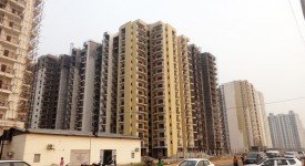 Golf Avenu(Sec 75)