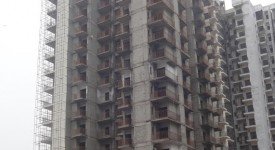 Golf Avenu(Sec 75)