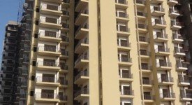 Golf Avenu(Sec 75)