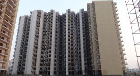 Golf Avenu(Sec 75)