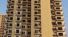 Golf Avenu(Sec 75)