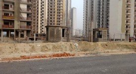 Golf Avenu(Sec 75)